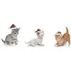 Very Merry Set Of 3 Santa Hat Kitten Figurines Home
