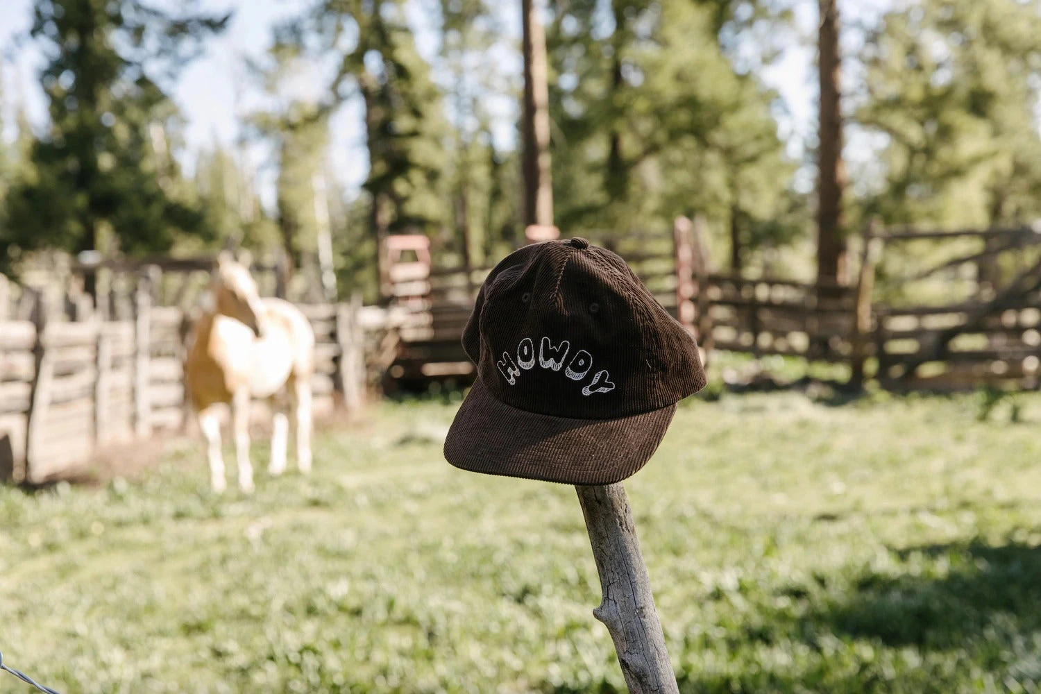 Seager Hat Howdy Corduroy Snapback - Image 11